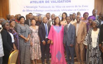 Key players in Guinea's economy will review their country's AfCFTA National Strategy
