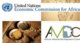 Ad Hoc Expert Group Meeting to Review Study on The Impact of Illicit Financial Flows on Domestic Resource Mobilization: Optimizing Africa's Resources