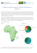 Insights on African businesses’ reactions and outlook to COVID-19