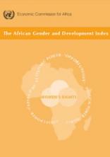 The African Gender and Development Index 2004