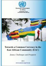 Towards a Common Currency in the East African Community(EAC)