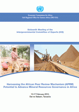 Harnessing the African Peer Review Mechanism Potential to Advance Mineral Resources Governance in Africa