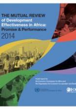 The 2014 Mutual Review of Development Effectiveness in Africa