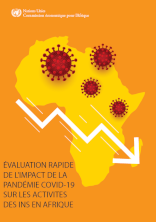 Évaluation rapide de l'impact de la pandémie COVID-19 sur les activités des INS en Afrique
