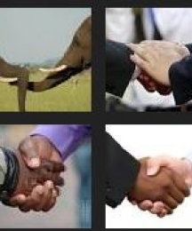 Expert Group Meeting on "Improving Central Africa's Business Climate"