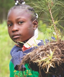 Conference on Land Policy in Africa