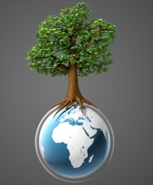Sustainable Development