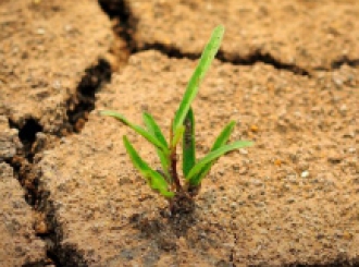 Conference on Climate Change and Development in Africa (CCDA II)