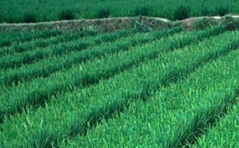 Lopes insiste auprès des dirigeants à revoir les politiques agricoles
