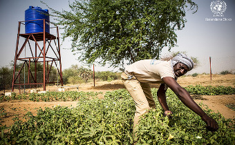 À la CoM 2018, les ministres discuteront du potentiel de l’agriculture pour stimuler la croissance économique de l’Afrique
