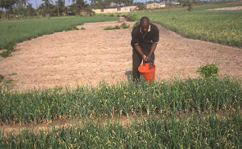 Land and Agriculture Ministries commit to integrate land governance concerns in agriculture