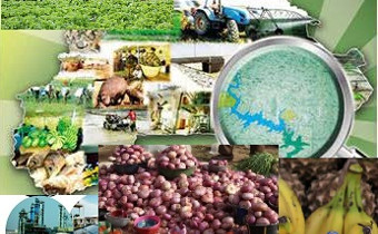Promouvoir les pôles de croissance en Afrique de l’Ouest