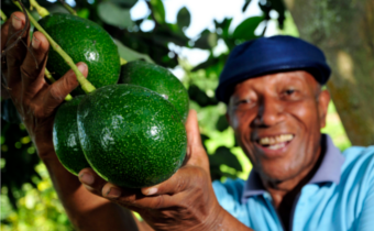 Agriculture, transformation structurelle au centre d’une session d’experts de la CEA à Douala