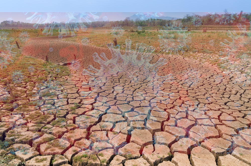 COVID-19 lessons offer hope for global efforts to address climate change impacts