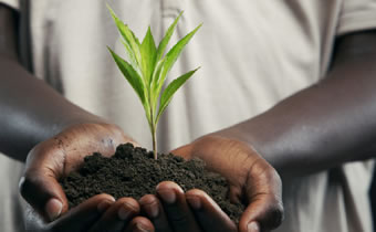 Land governance key to Africa’s transformation, says Hamdok at opening of land policy 