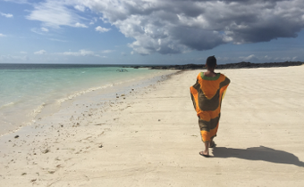 ECA stresses Comoros’s tourism potential during profile launch