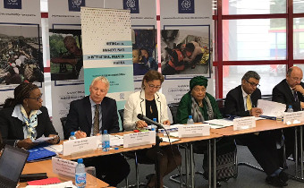 Panel lays out agenda for African migration policies