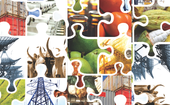 Pushing for inclusive transformation in Central Africa