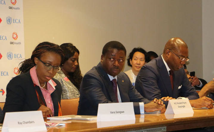 Call for Private Sector Involvement to Improve Africa’s Health and Economic Growth