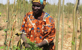 L’autonomisation des femmes au centre des discussions entre la CEA et le Niger