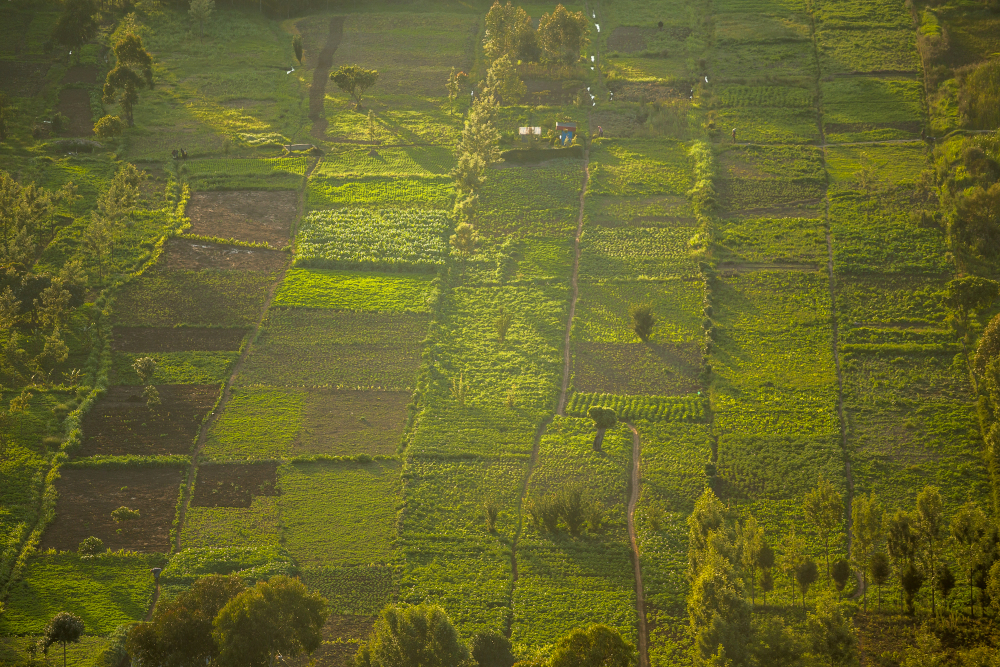 Curricula Development workshop on Land Governance in Africa underway in Nairobi