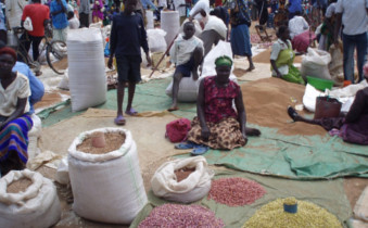 Est-ce que l’Afrique australe est a` la hauteur de la sécurité alimentaire?