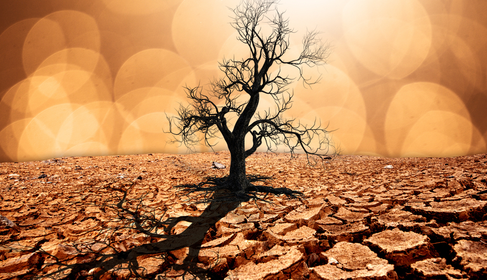 Treat climate crisis with same urgency as COVID-19 pandemic; new ECA paper
