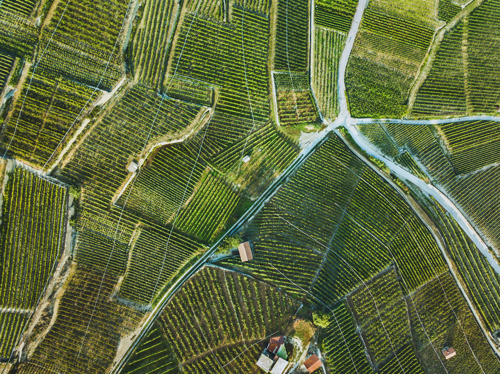 Now is the time for Africa to digitize land registries, says Joan Kagwanja