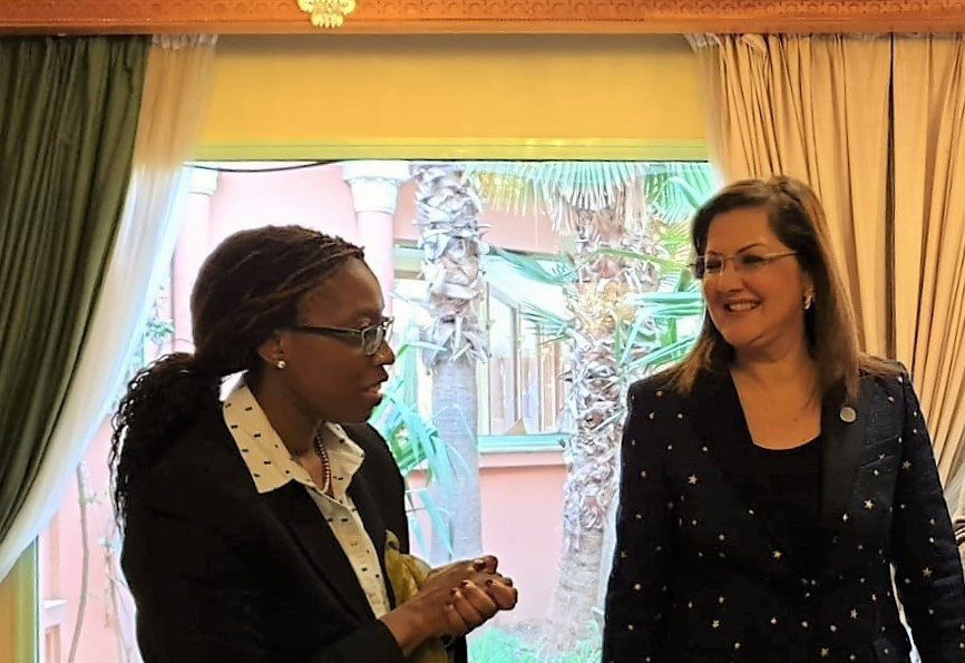 Strengthening of national accounts, SDGs and employment at the heart of ECA-Egypt bilateral meeting