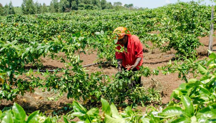 Why UN climate science reports have Africa-shaped gaps