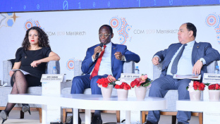 Enhancing fiscal policy through digitization