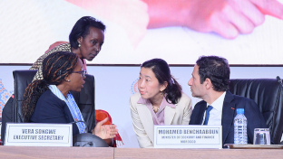 Consideration of recommendations and adoption of resolutions