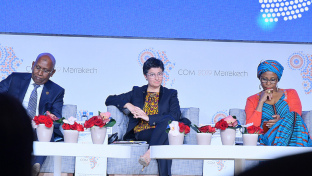 Trade and private sector development in the digital era