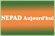 NEPAD Today