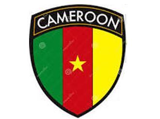 Cameroon must roar: at a 7% minimum! Cameroon must roar: at a 7% minimum!
