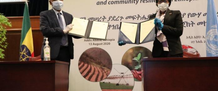 ECA, Government of Ethiopia launch Decade of Action with tree planting, green jobs, livelihoods and health at the center