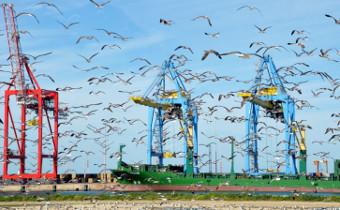 ECA support requested for stronger coordination of maritime strategies to achieve Blue Economy in Africa