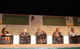 Land policy in Africa: Expert panel calls for "fair, efficient land management"