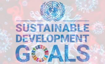 Stronger partnerships crucial for successful implementation of SDGs in light of COVID-19