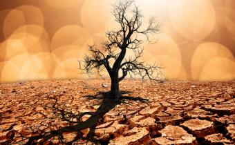 Treat climate crisis with same urgency as COVID-19 pandemic; new ECA paper Treat climate crisis with same urgency as COVID-19 pandemic; new ECA paper