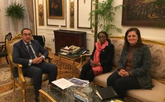 Vera Songwe s’entretient avec le gouvernement égyptien à propos des réformes économiques, des financements innovants et de la ZLECA Vera Songwe s’entretient avec le gouvernement égyptien à propos des réformes économiques, des financements innovants et de la ZLECA