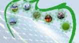 Twenty-Ninth Meeting of the Intergovernmental Committee of Experts (ICE)
