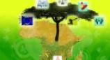 African Statistics Day