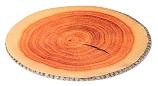 Developing the Wood Industry Toward Structural Transformation in Gabon