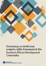 Developing an intellectual property rights framework in the Southern African Development Community Developing an intellectual property rights framework in the Southern African Development Community