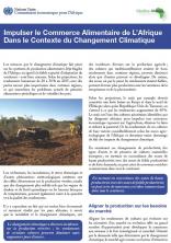 Food trade in Africa in the context of climate change