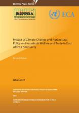 WP27 Impact on Household Welfare WP27 Impact on Household Welfare