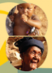 Indice africain de développement social (IADS)