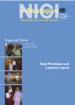 e-Strategies - Best Practices and Lessons Learnt e-Strategies - Best Practices and Lessons Learnt