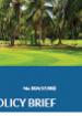 Greening Africa’s industrialization
